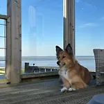 Campingplatz Noa Aan Zee