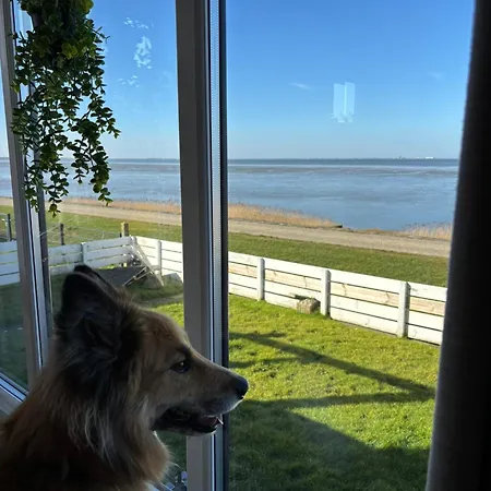 Noa Aan Zee *