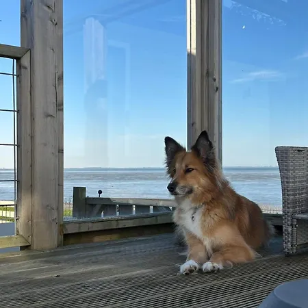 캠프장 Noa Aan Zee