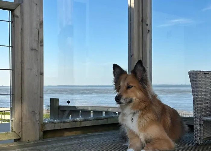 Campsite Noa Aan Zee