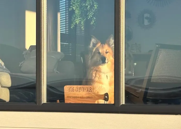 Noa Aan Zee * Westerland